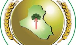 وزارة الزراعة : جميع المحافظات تشارك بفعالية في زراعة المحاصيل المختلفة..